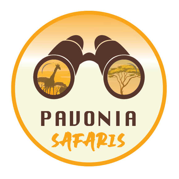Pavonia Logo